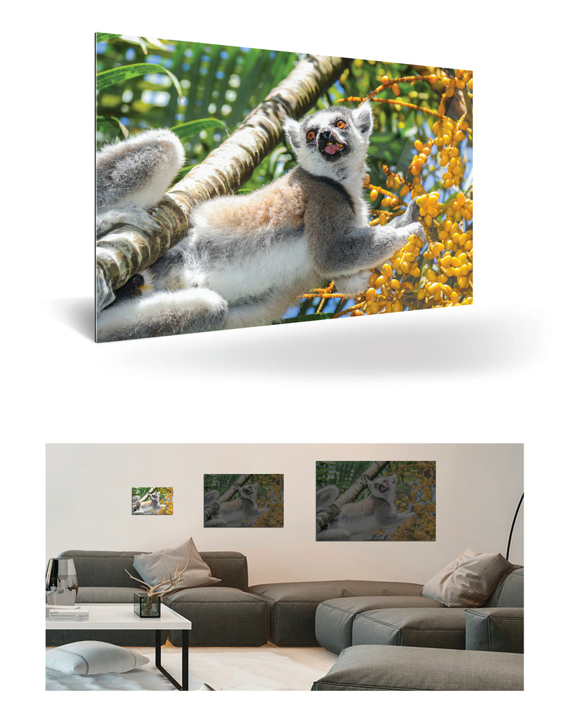 Tolagnaro, Madagaskar