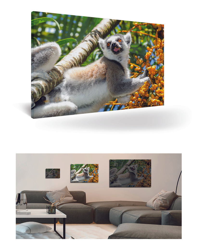 Tolagnaro, Madagaskar