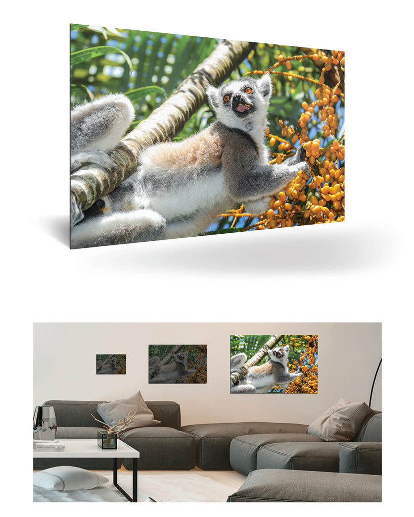 Tolagnaro, Madagaskar