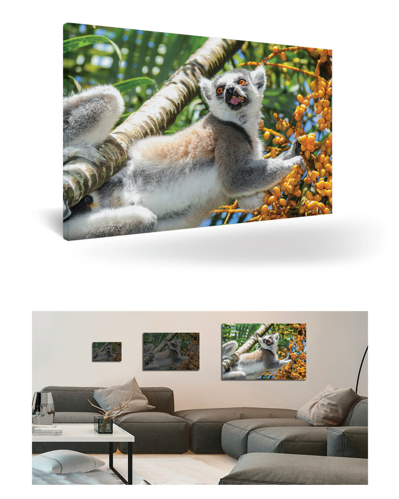 Tolagnaro, Madagaskar