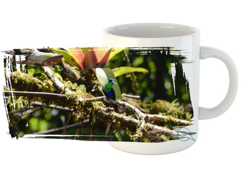 Puntarenas, Costa Rica