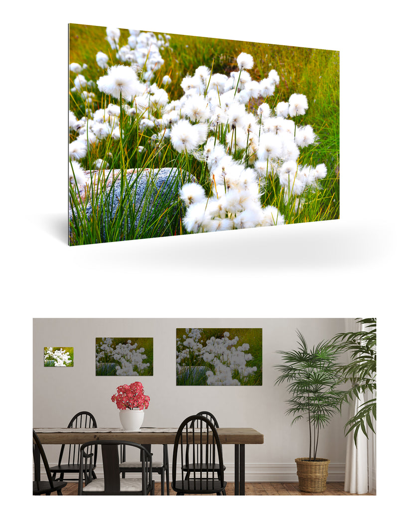 Qeqertarsuaq, Grönland