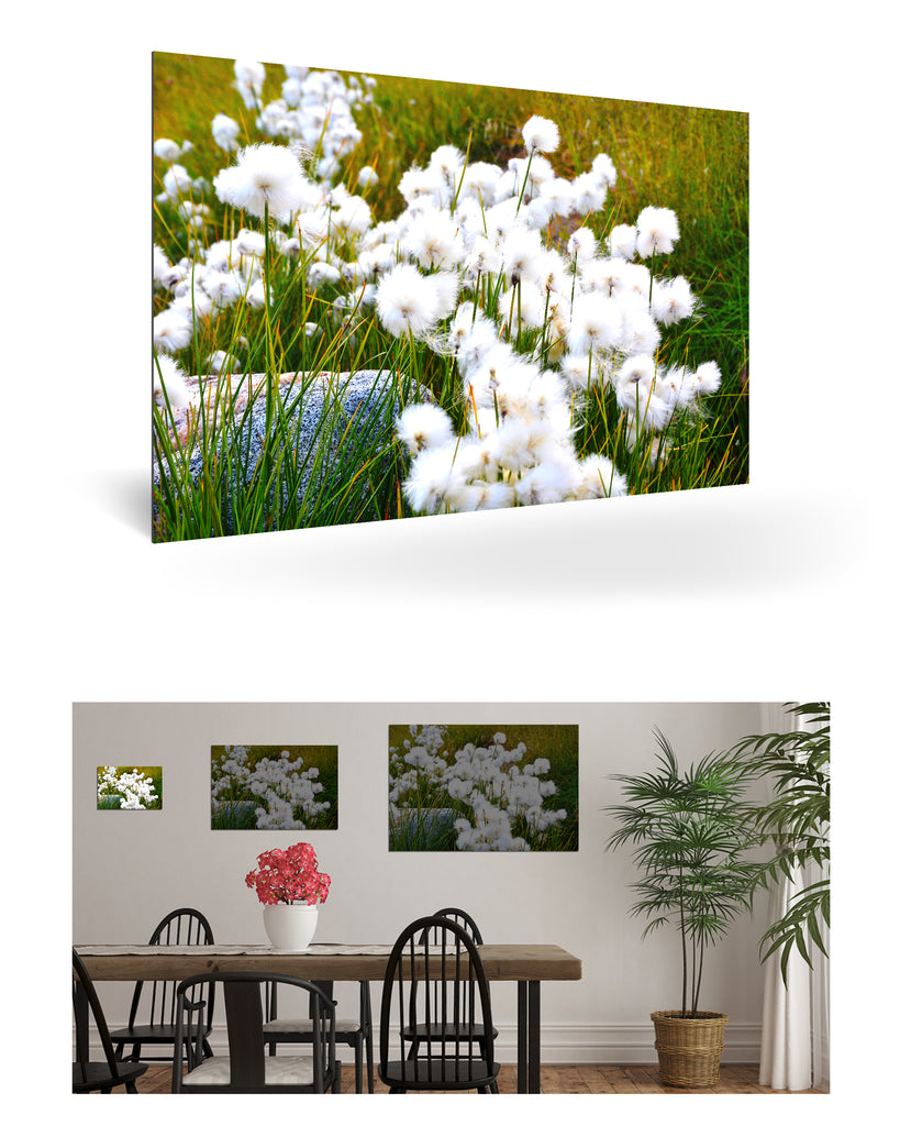 Qeqertarsuaq, Grönland