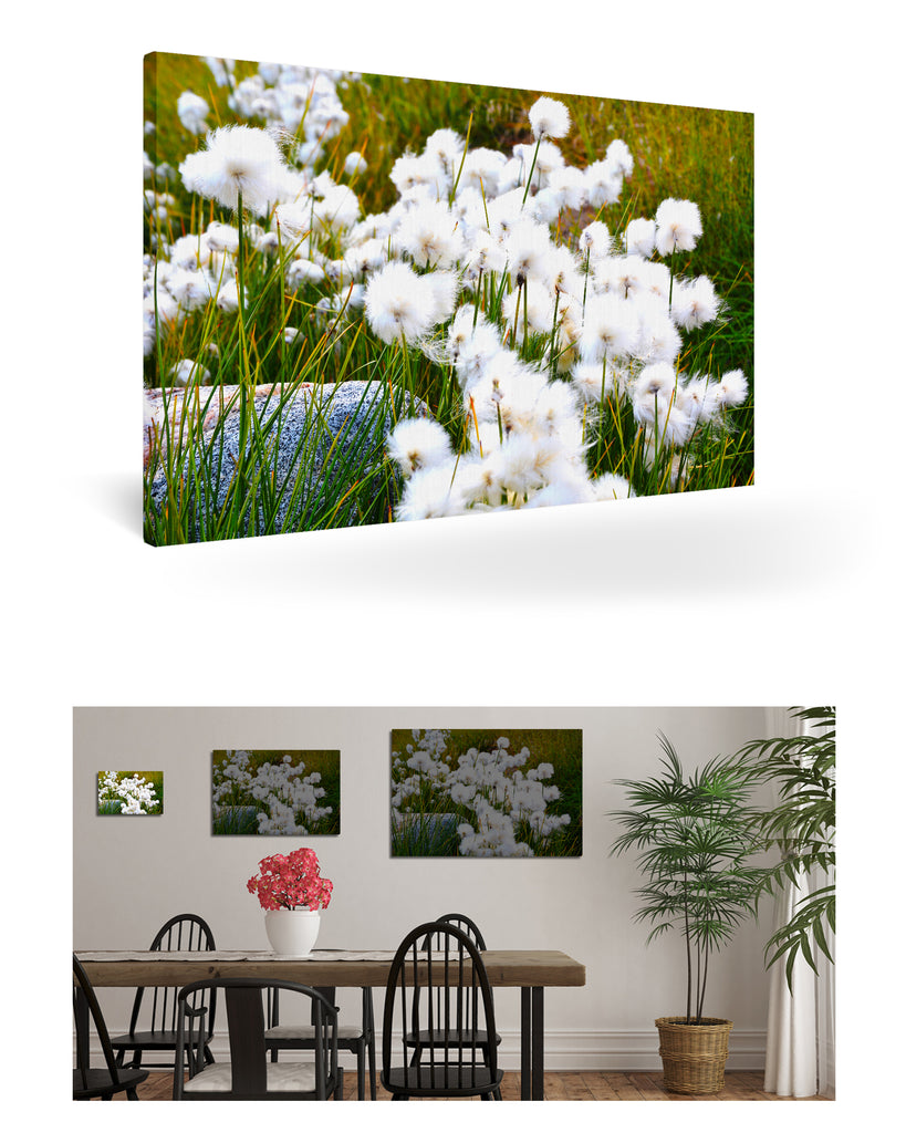 Qeqertarsuaq, Grönland