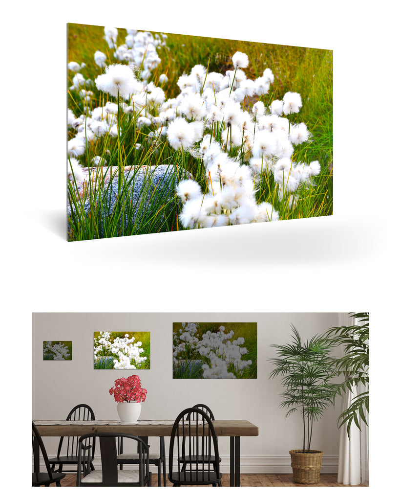 Qeqertarsuaq, Grönland