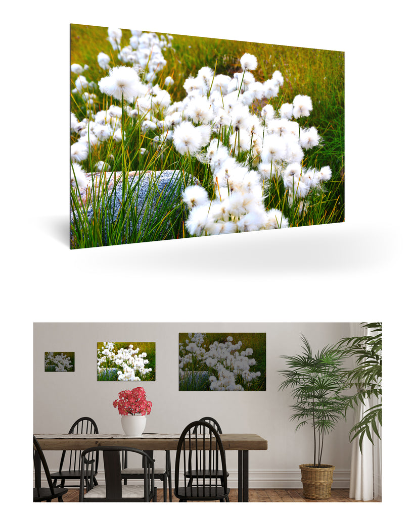 Qeqertarsuaq, Grönland