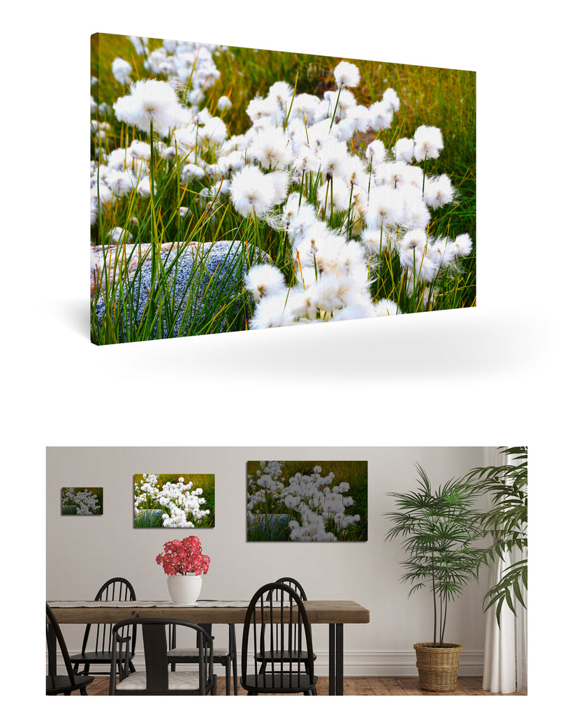 Qeqertarsuaq, Grönland