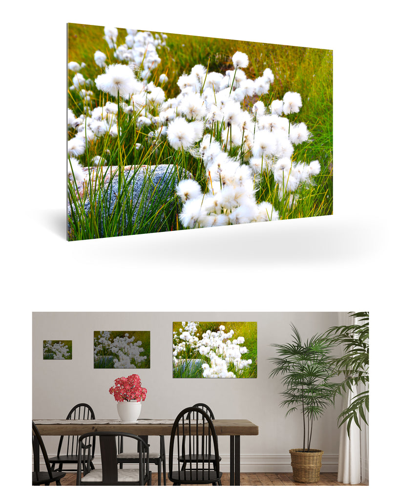 Qeqertarsuaq, Grönland