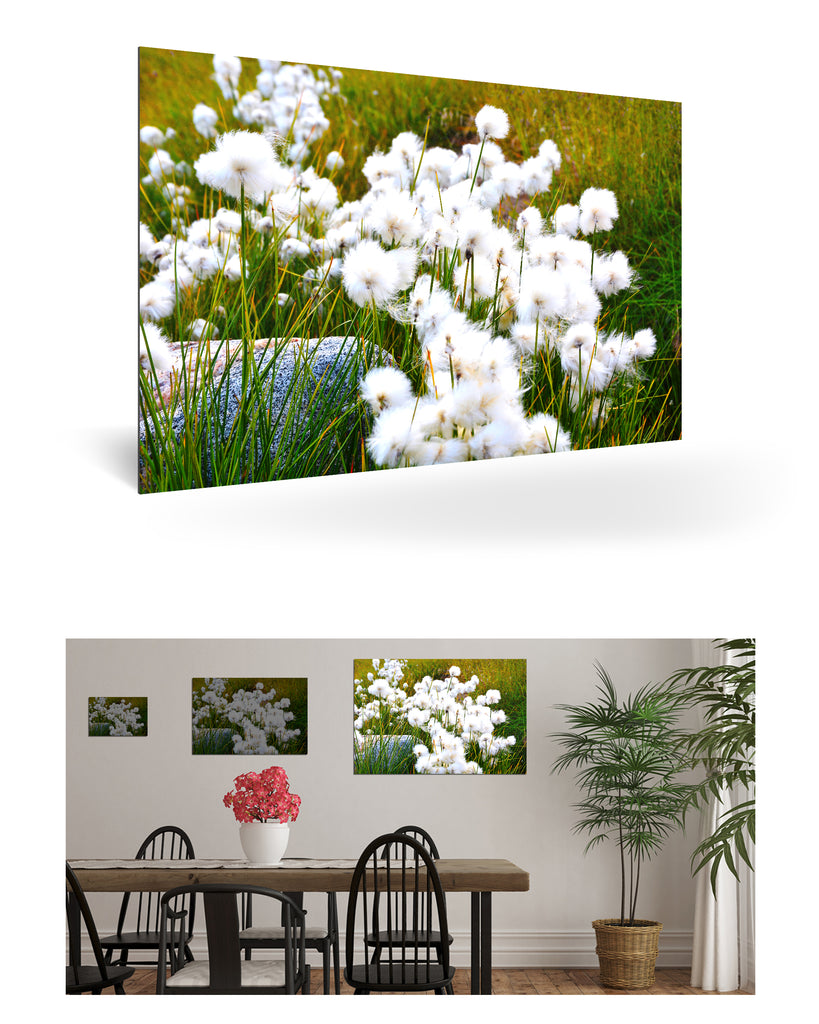 Qeqertarsuaq, Grönland