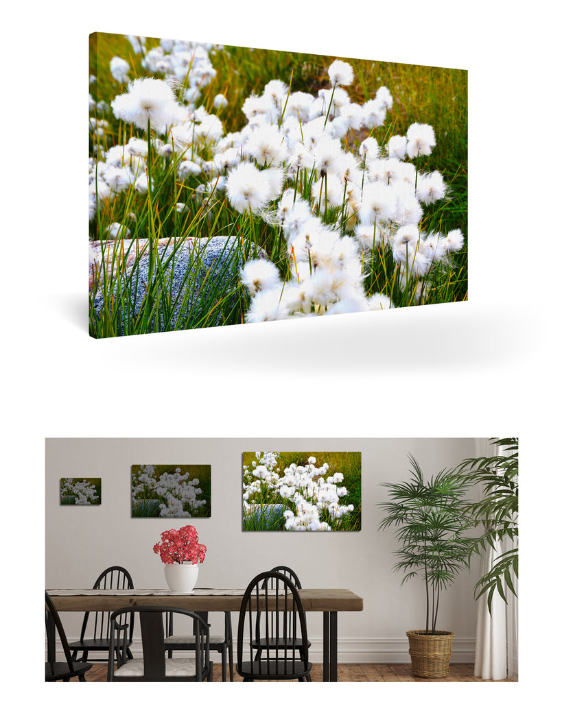 Qeqertarsuaq, Grönland