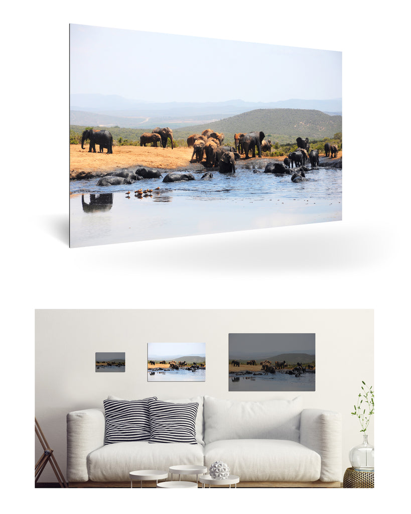 Port Elizabeth, Südafrika