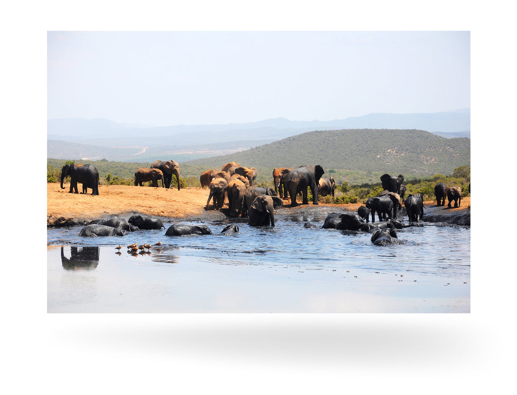 Port Elizabeth, Südafrika