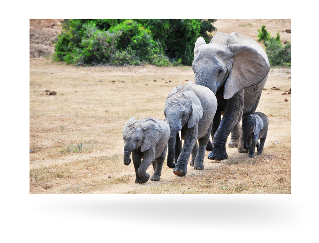 Port Elizabeth, Südafrika