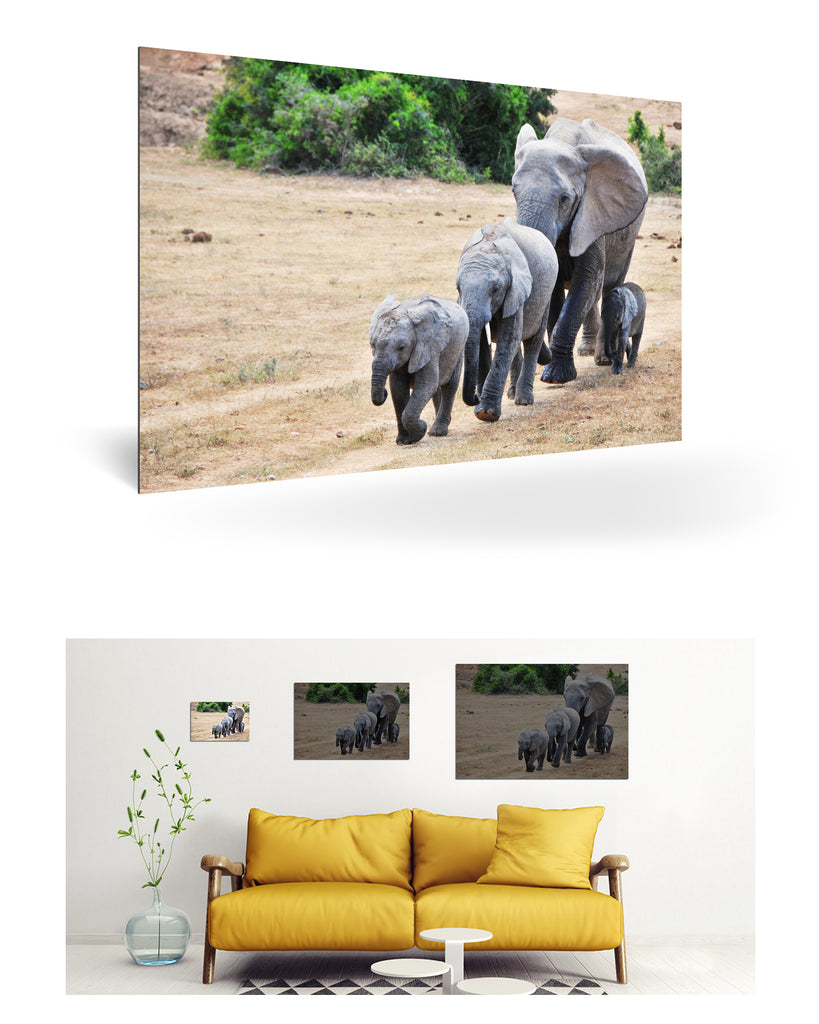 Port Elizabeth, Südafrika