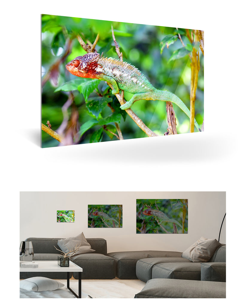 Tolagnaro, Madagaskar