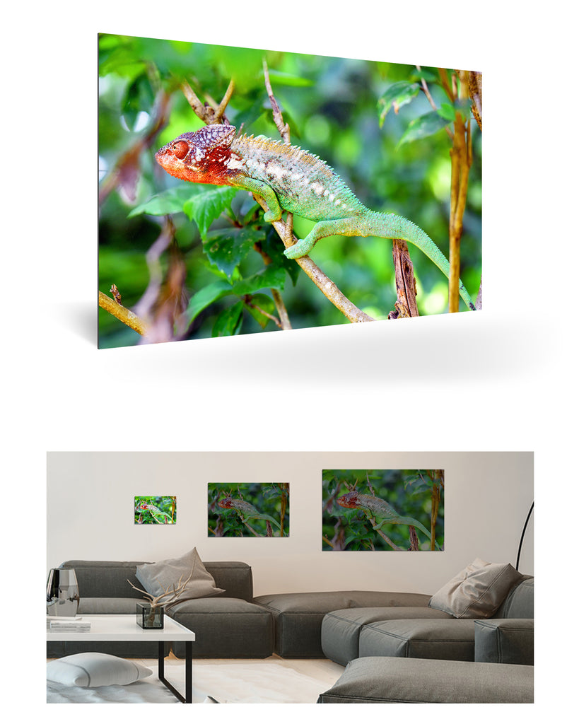 Tolagnaro, Madagaskar