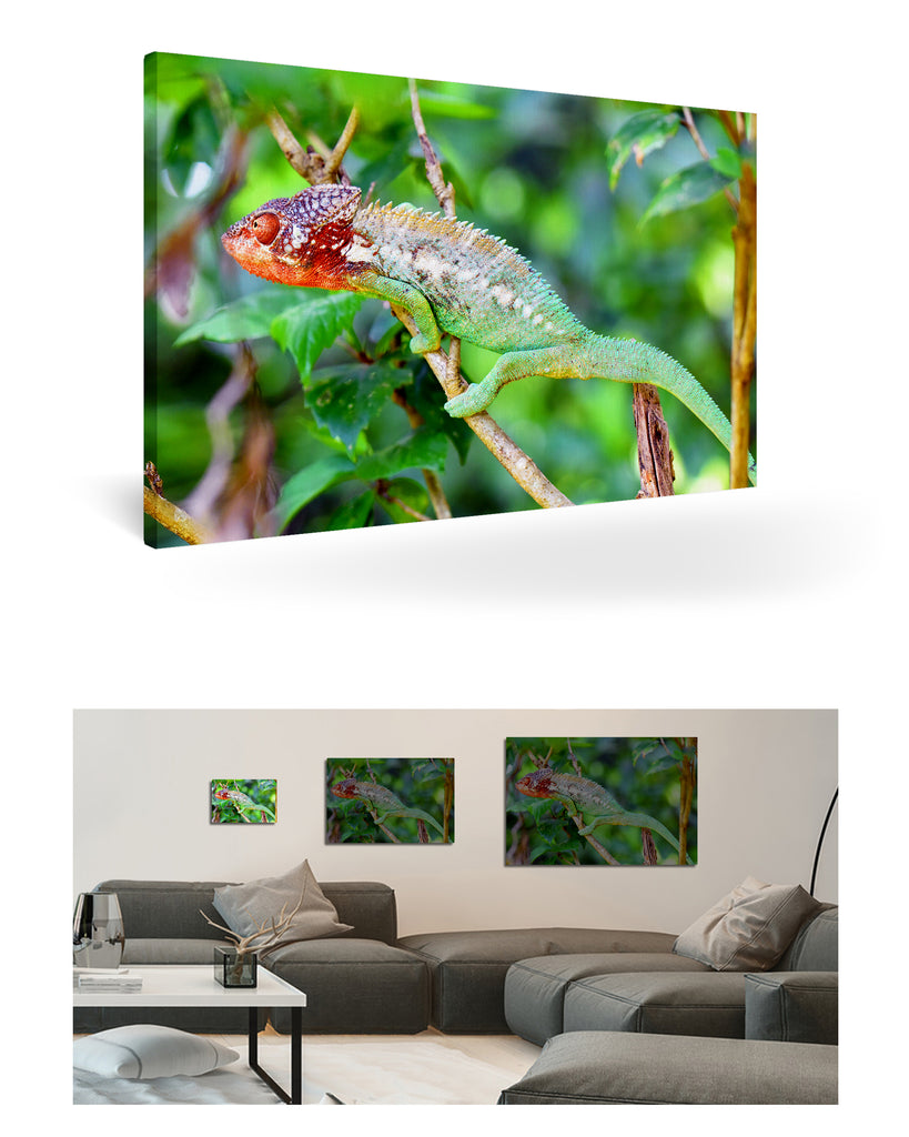 Tolagnaro, Madagaskar