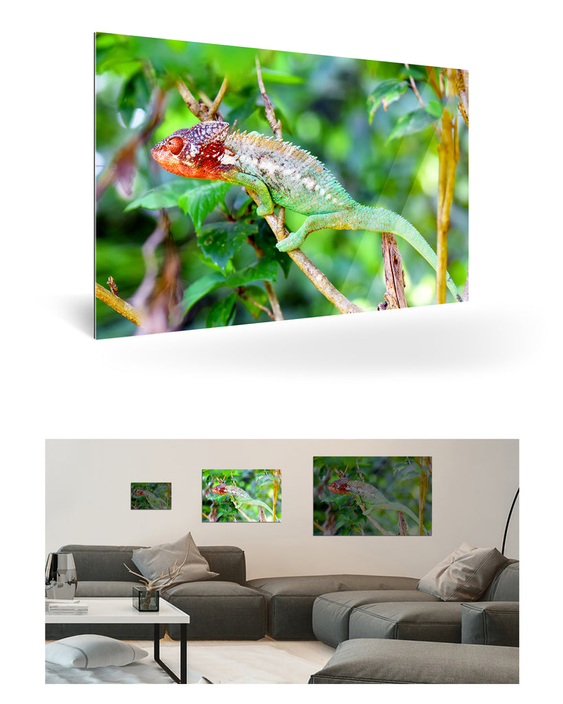 Tolagnaro, Madagaskar