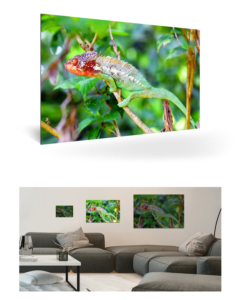 Tolagnaro, Madagaskar