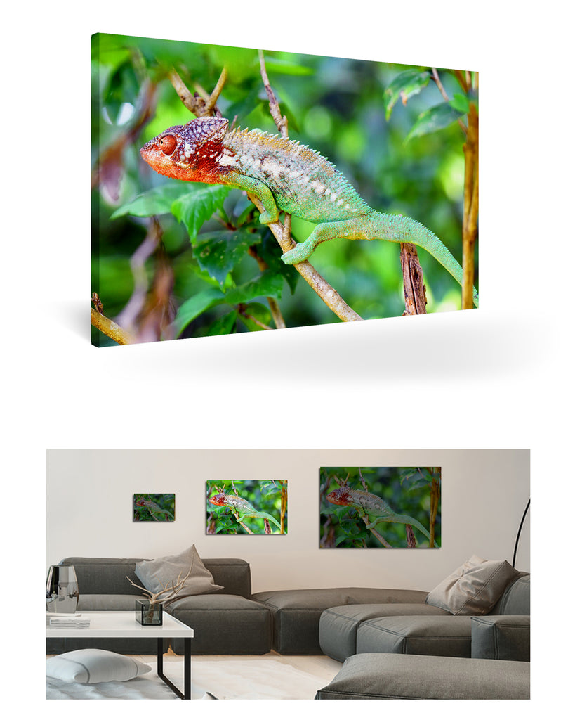 Tolagnaro, Madagaskar