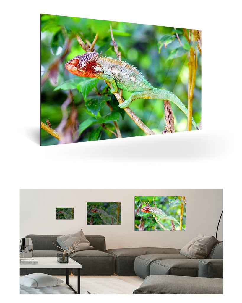 Tolagnaro, Madagaskar