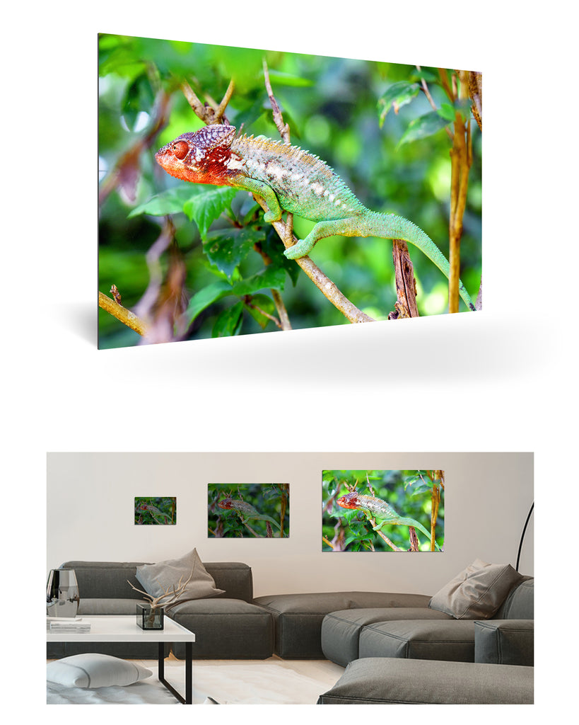 Tolagnaro, Madagaskar