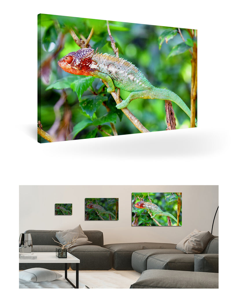 Tolagnaro, Madagaskar