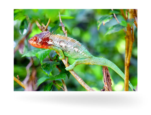 Tolagnaro, Madagaskar