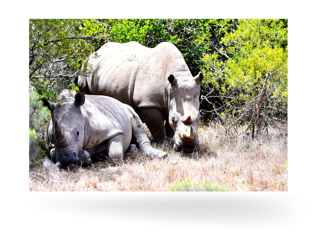 Port Elizabeth, Südafrika
