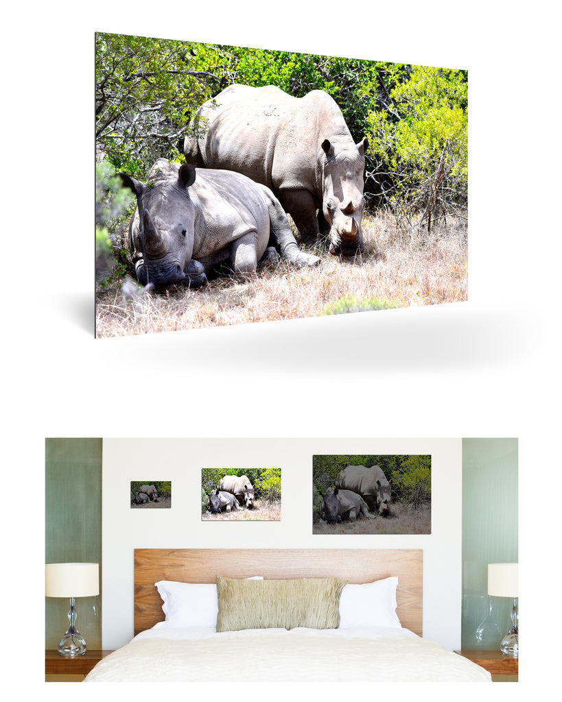 Port Elizabeth, Südafrika