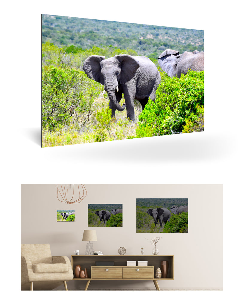 Port Elizabeth, Südafrika