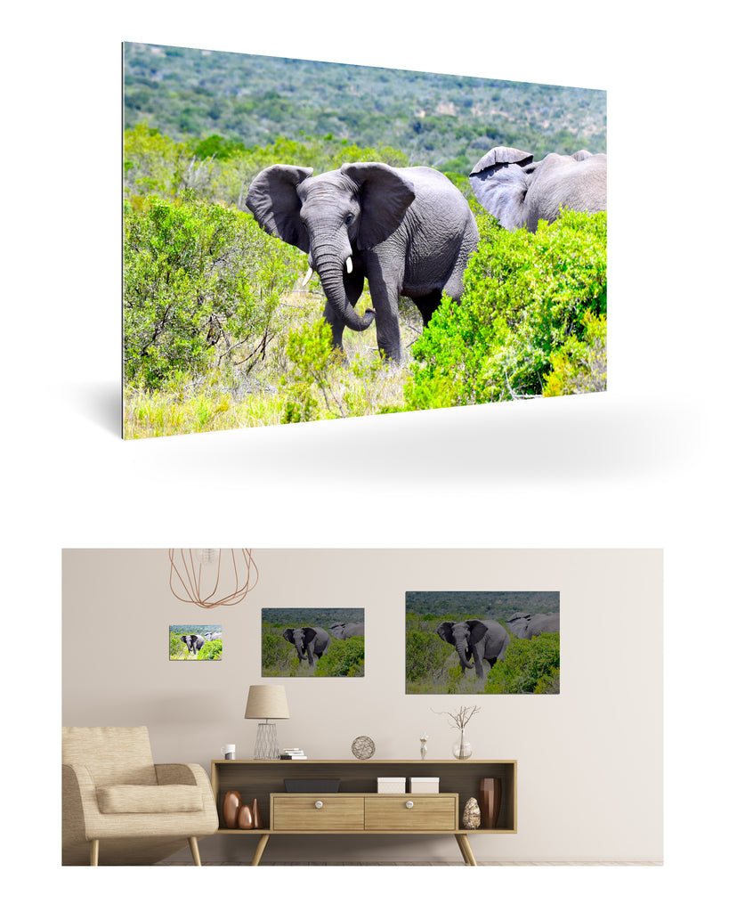 Port Elizabeth, Südafrika