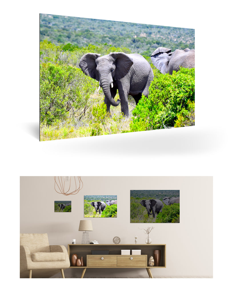 Port Elizabeth, Südafrika