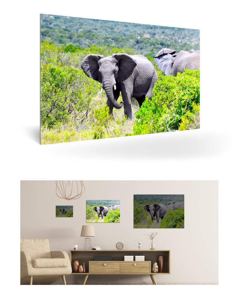 Port Elizabeth, Südafrika