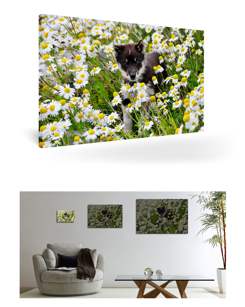 Uummannaq, Grönland