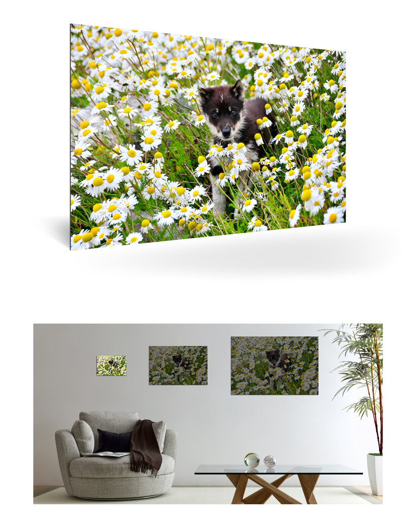 Uummannaq, Grönland