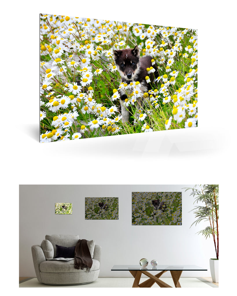 Uummannaq, Grönland