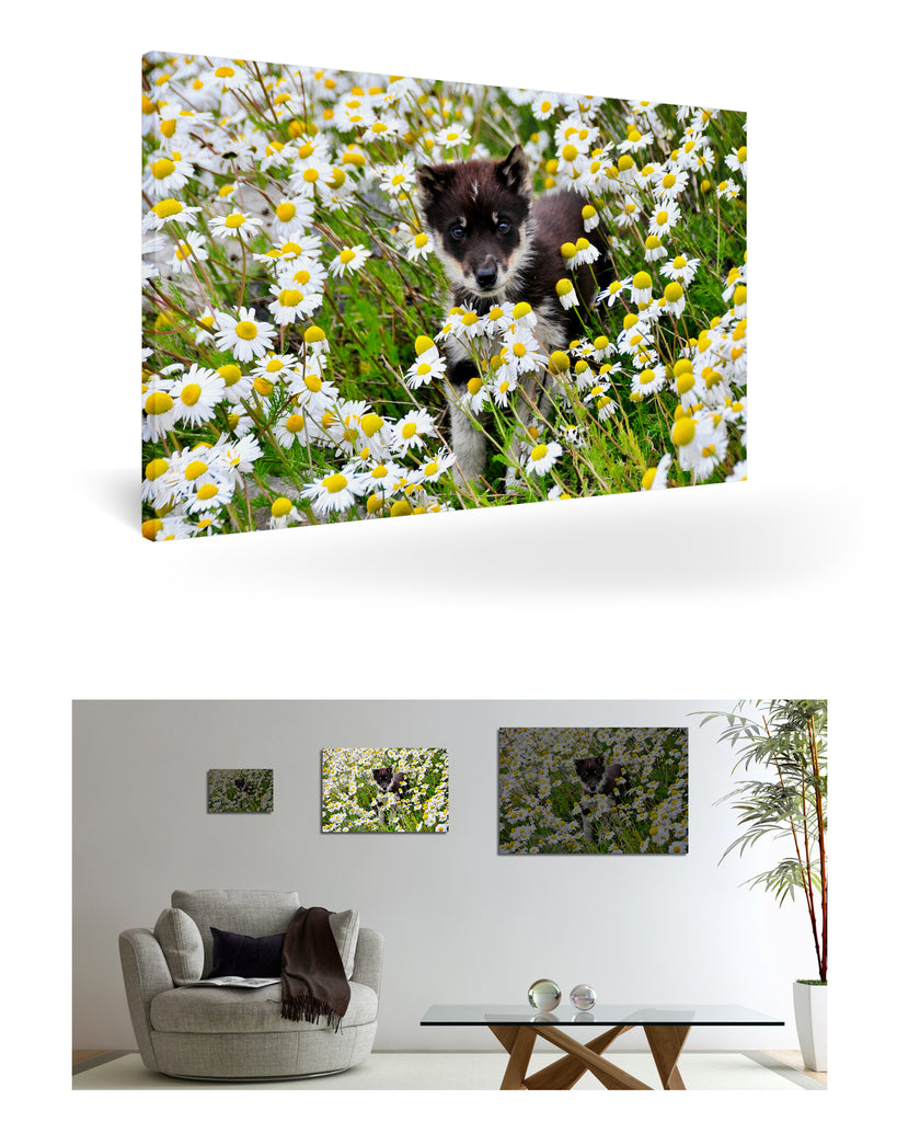 Uummannaq, Grönland