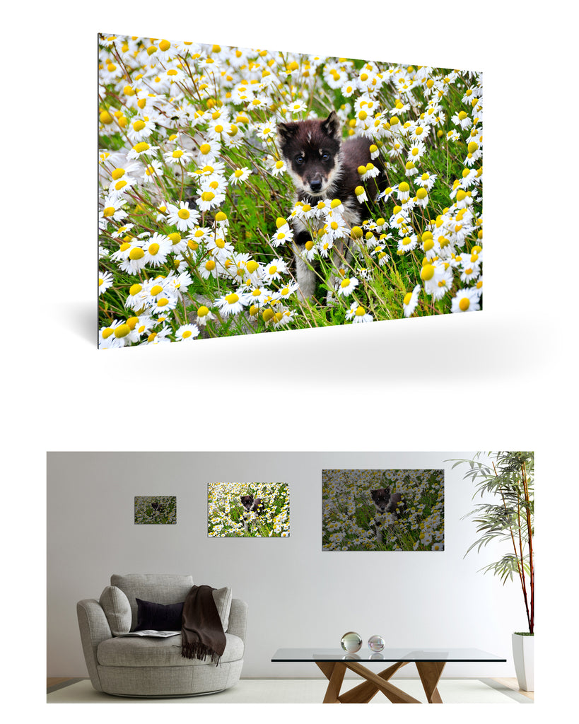 Uummannaq, Grönland