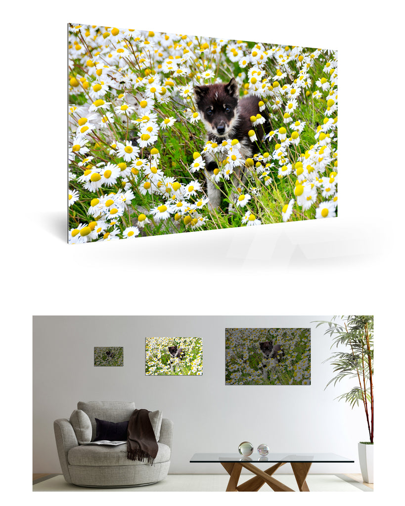 Uummannaq, Grönland