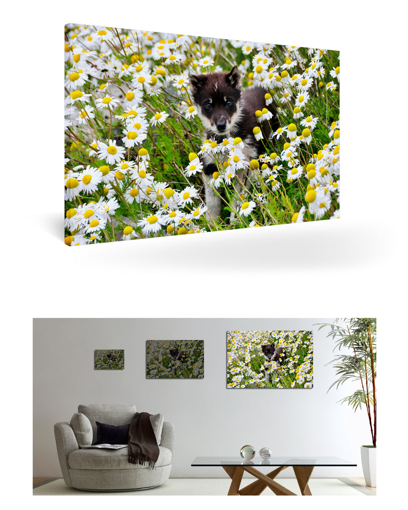 Uummannaq, Grönland