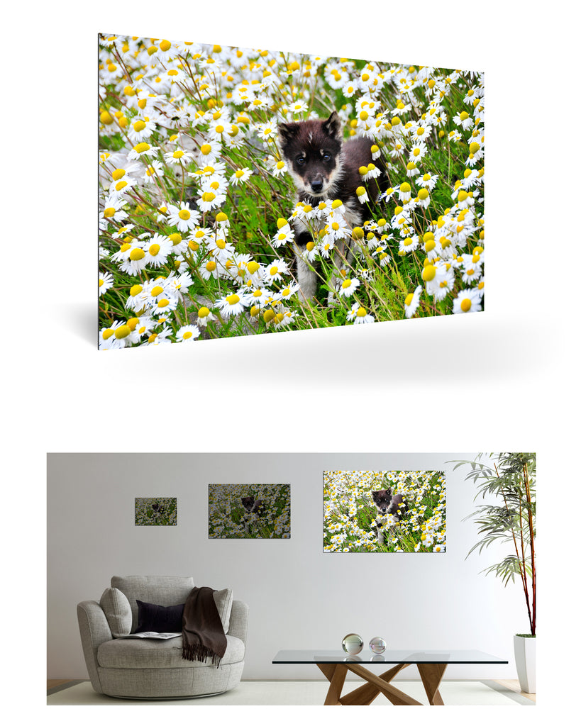 Uummannaq, Grönland