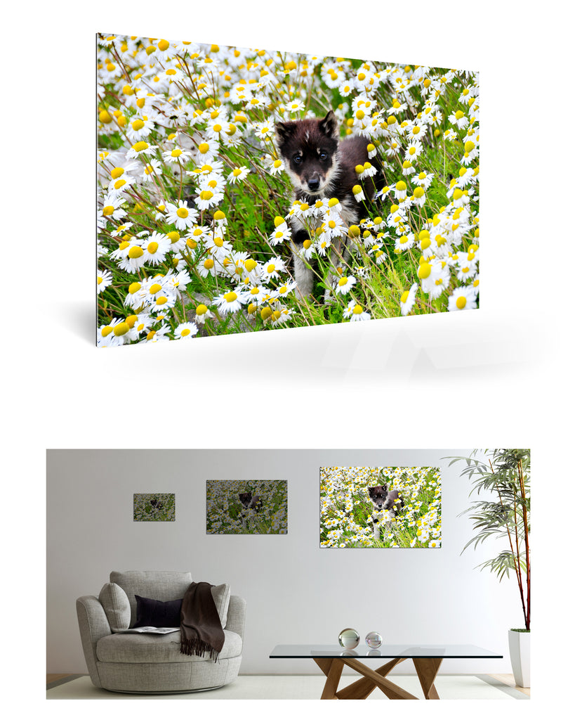 Uummannaq, Grönland