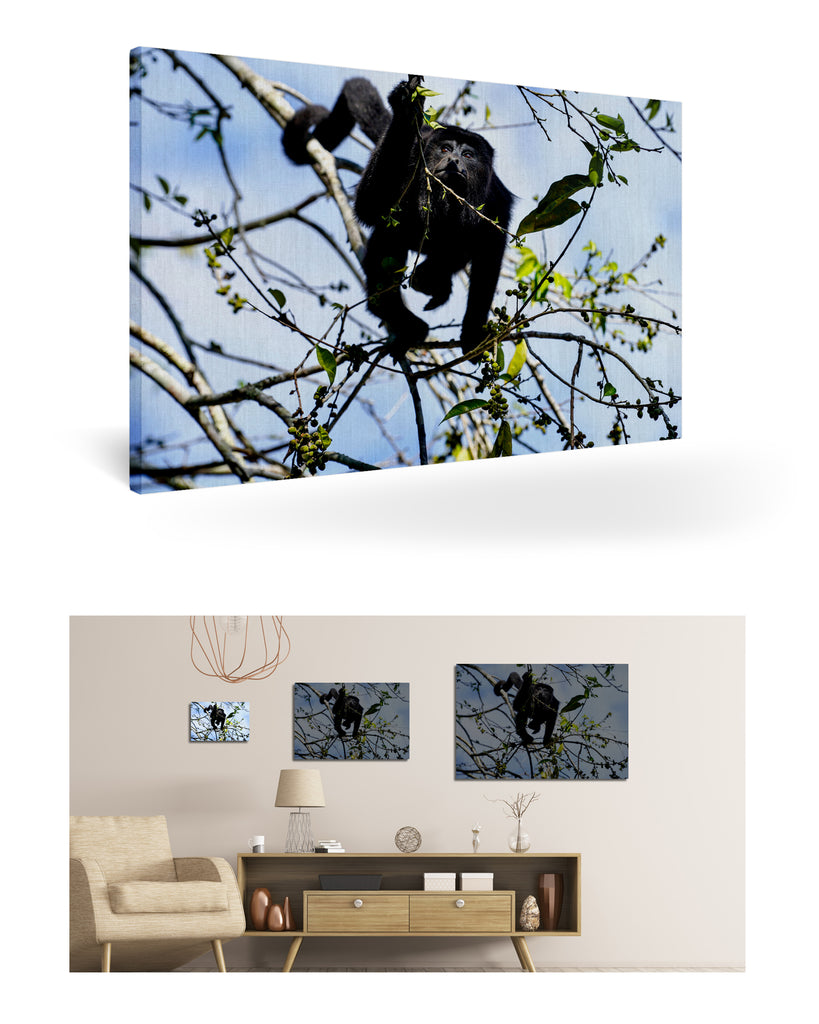 Belize, Zentralamerika