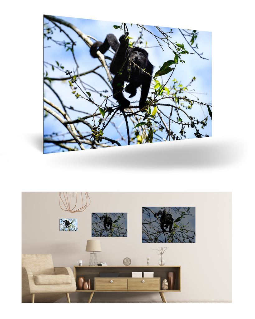 Belize, Zentralamerika