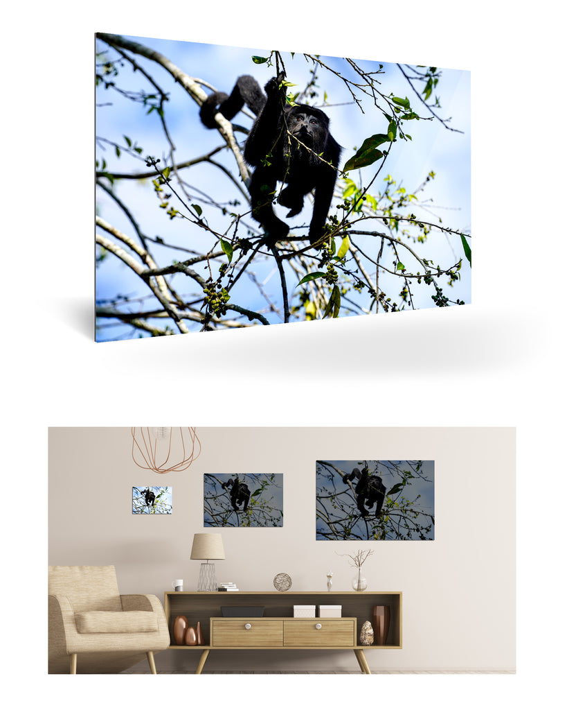 Belize, Zentralamerika