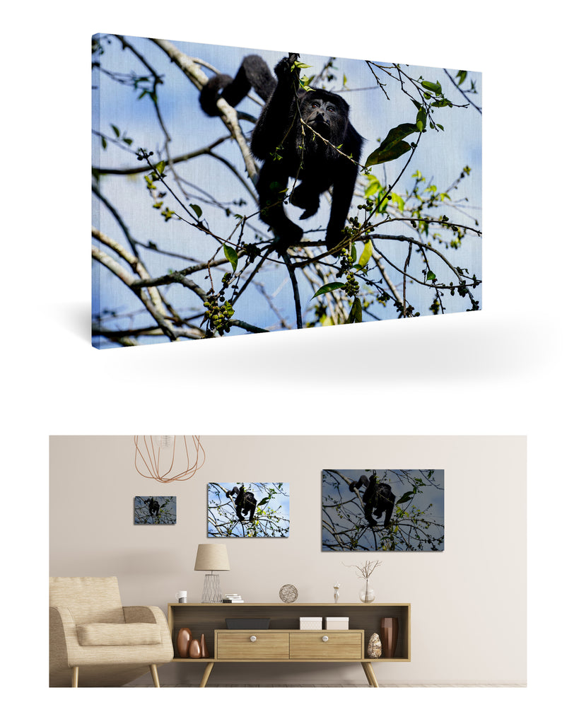 Belize, Zentralamerika