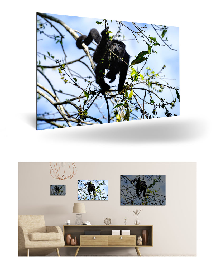 Belize, Zentralamerika