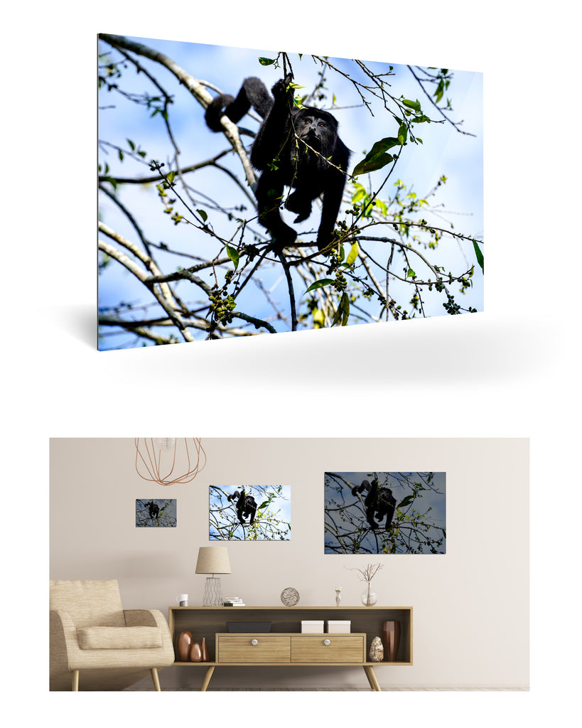 Belize, Zentralamerika