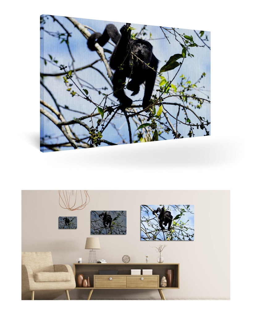 Belize, Zentralamerika